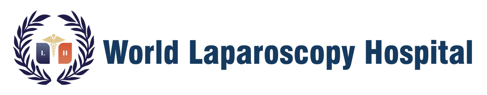 World Laparoscopy Hospital